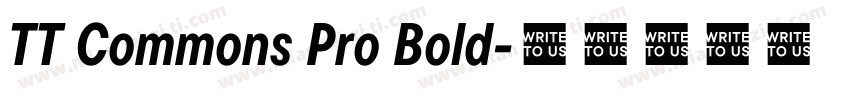 TT Commons Pro Bold字体转换